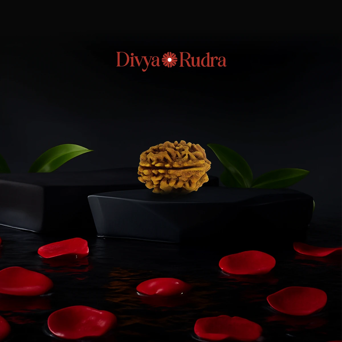 3 Mukhi Rudraksha Online – Certified & Natural Bead