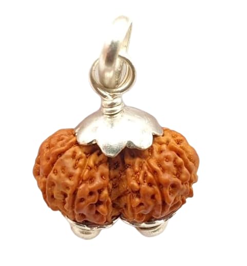 Natural Gauri Shankar Rudraksha Bead - Image 4