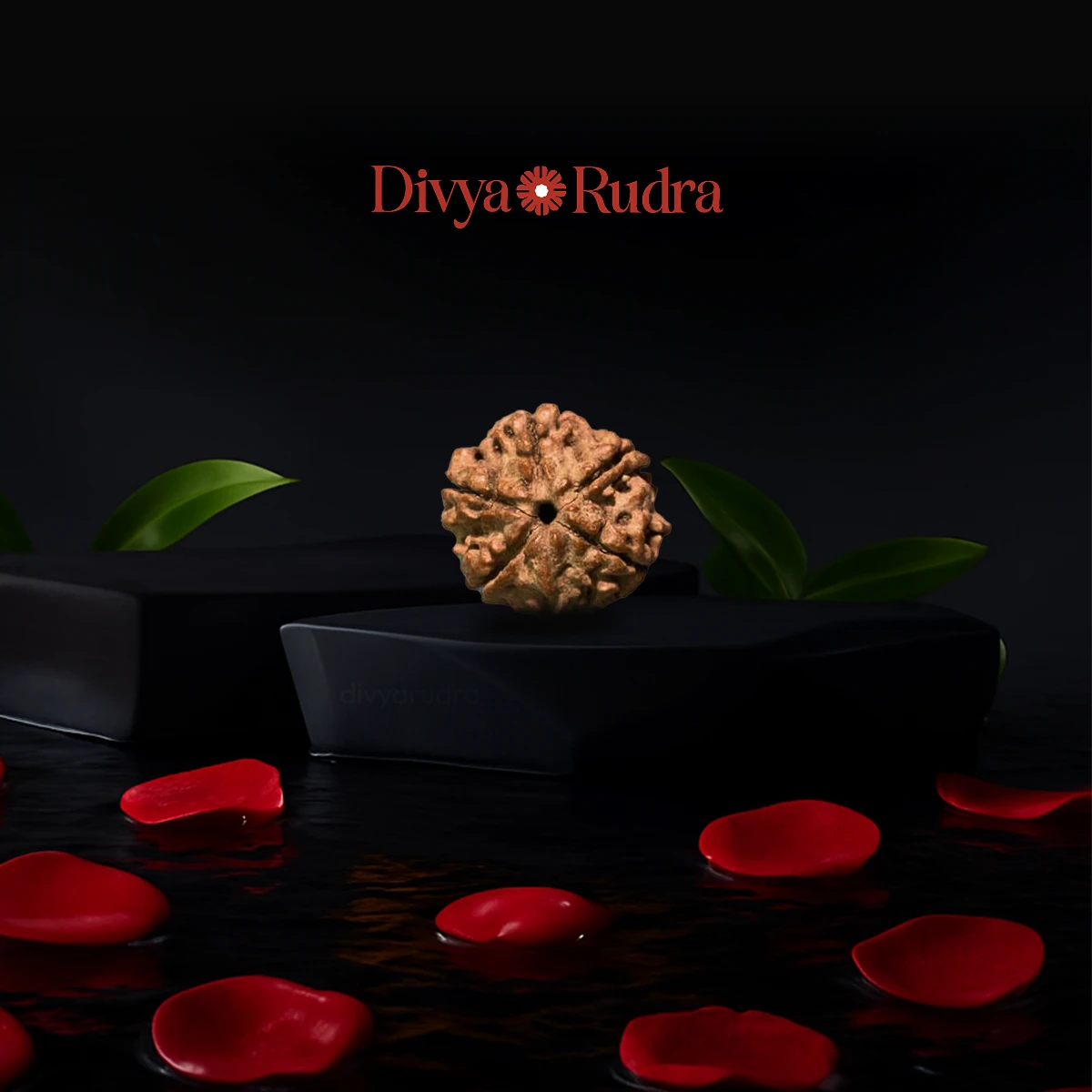 Original Rudraksha Beads 5 Mukhi Certified Nepal