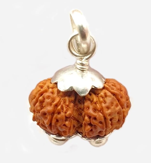 Natural Gauri Shankar Rudraksha Bead - Image 3