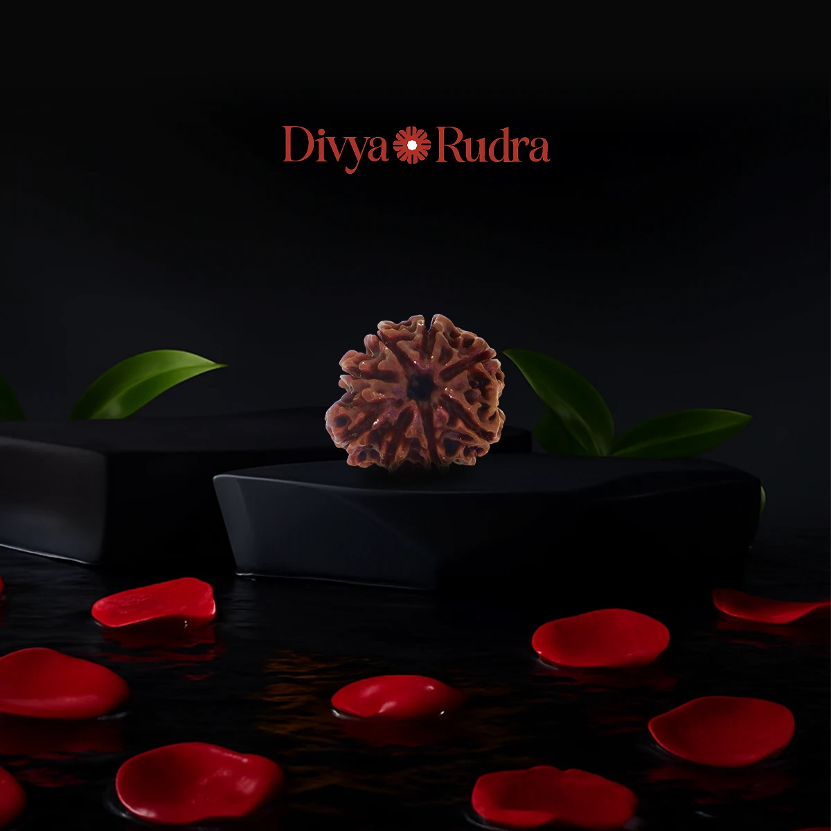 8 Mukhi Rudraksha (Nepali Origin) – Natural & Certified