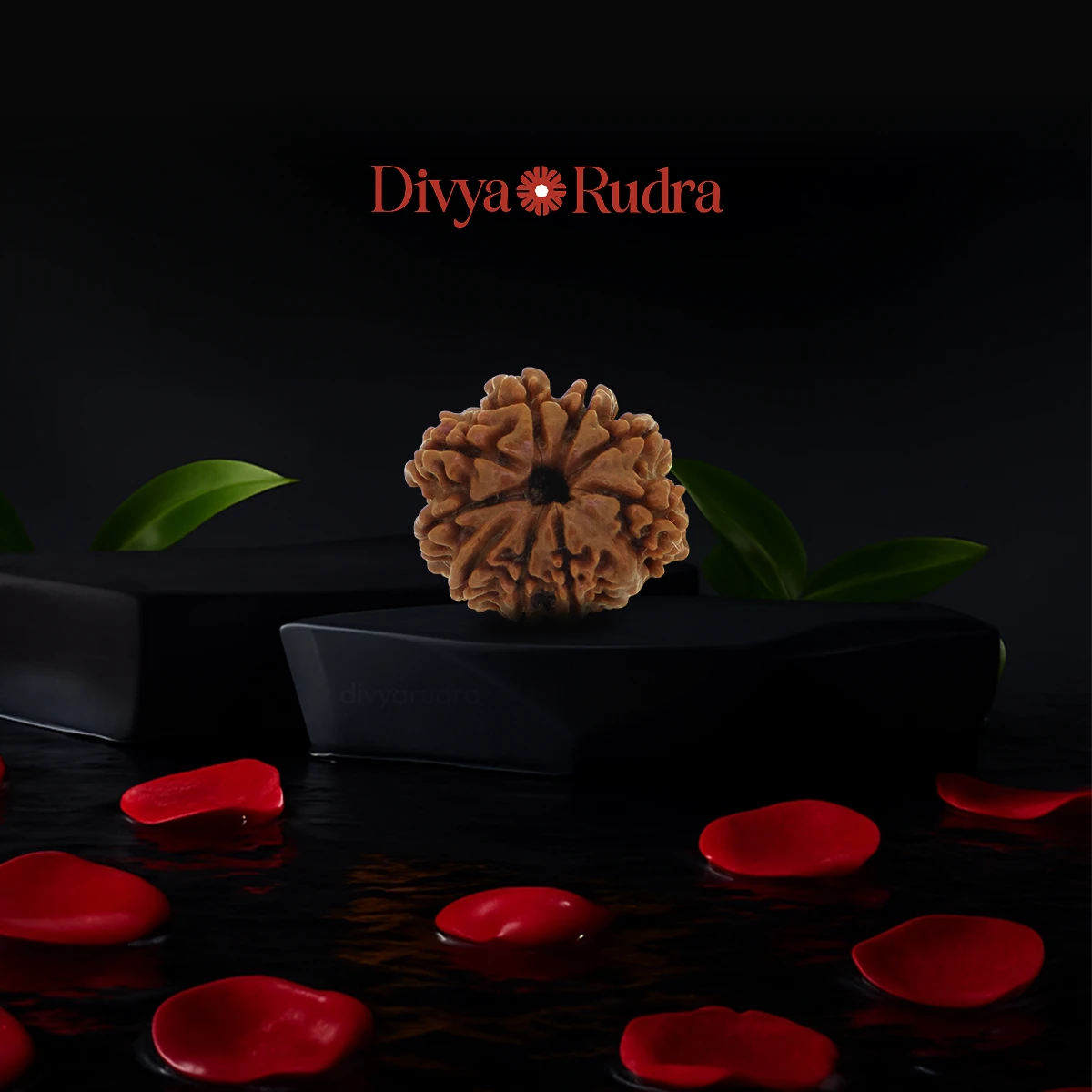 9 Mukhi Rudraksha (Nepali Origin) – Natural & Certified