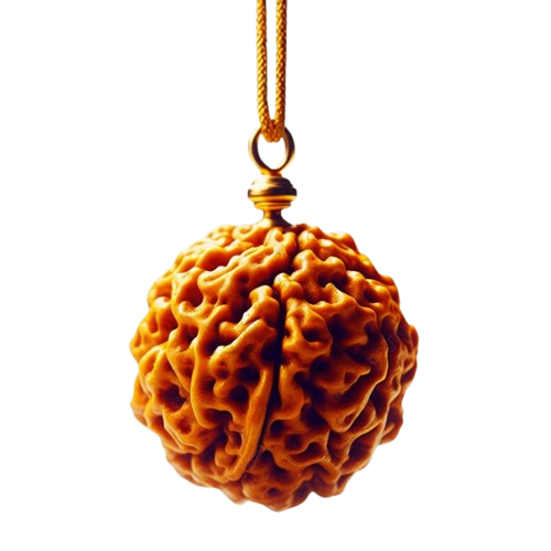 Rudraksha